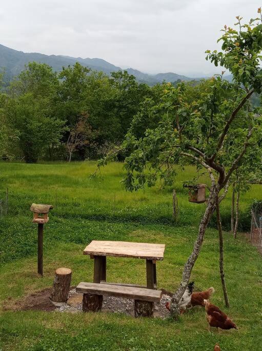Casa Rural El Cotu En Onís Εξωτερικό φωτογραφία