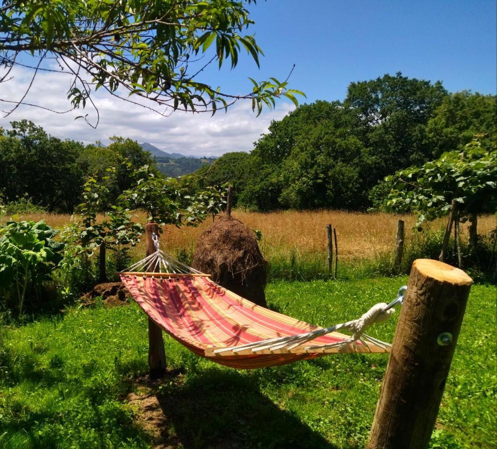 Casa Rural El Cotu En Onís Εξωτερικό φωτογραφία
