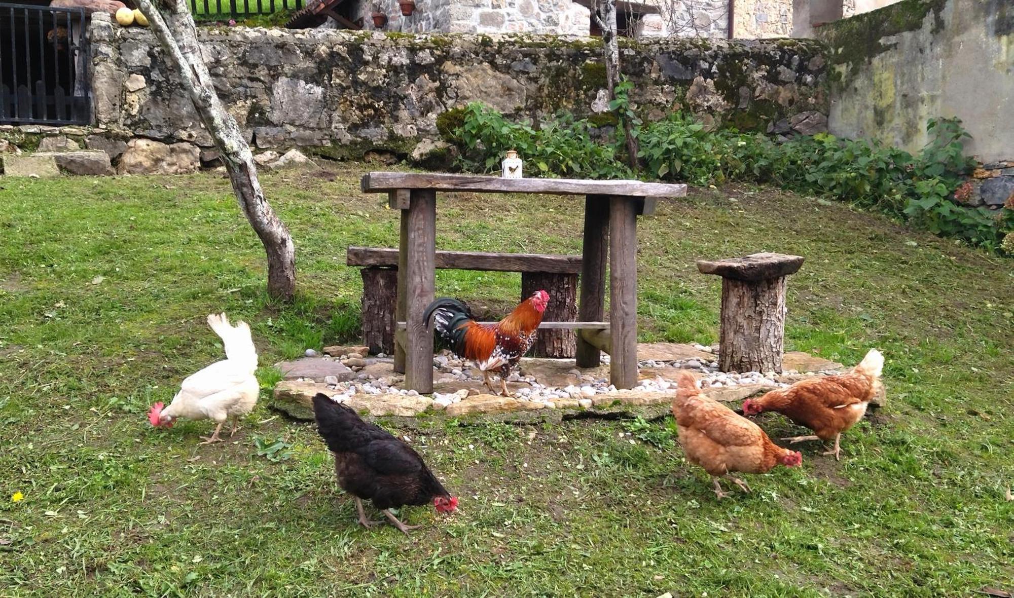 Casa Rural El Cotu En Onís Εξωτερικό φωτογραφία